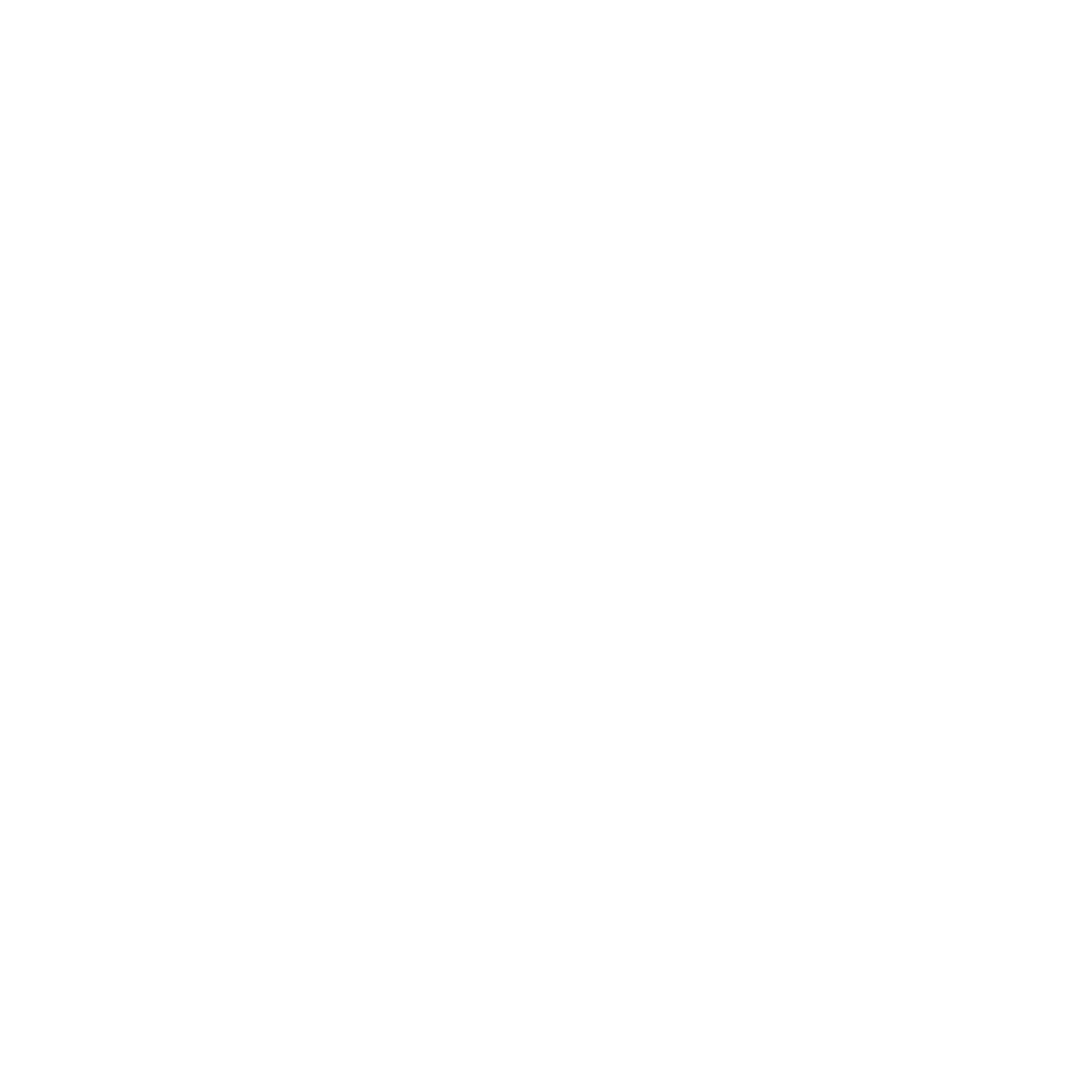 Randy Romano logo